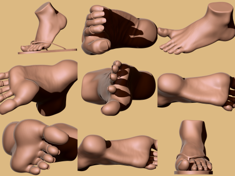 9 Scan-Based Feet Collection - 9 Realistic s - Printable 3D Принт Модель
