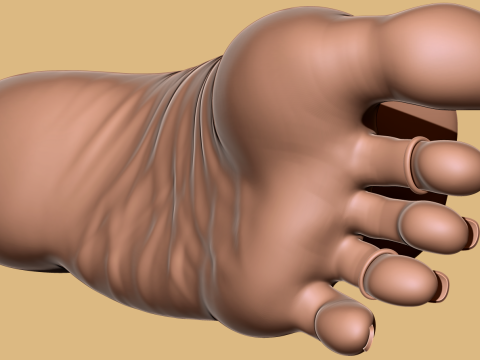 9 Scan-Based Feet Collection - 9 Realistic s - Printable Modèles 3D en vedette