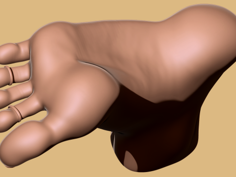 9 Scan-Based Feet Collection - 9 Realistic s - Printable Modèles 3D en vedette
