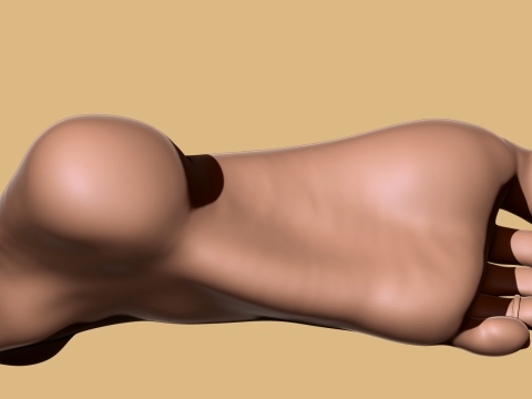 9 Scan-Based Feet Collection - 9 Realistic s - Printable Modèles 3D en vedette