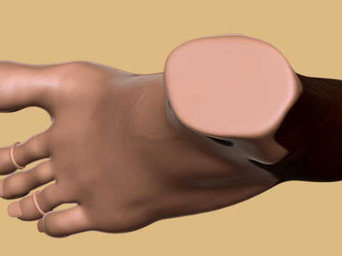 9 Scan-Based Feet Collection - 9 Realistic s - Printable Modèles 3D en vedette