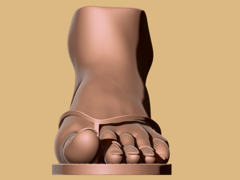 9 Scan-Based Feet Collection - 9 Realistic s - Printable Modèles 3D en vedette