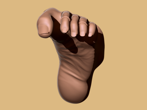 9 Scan-Based Feet Collection - 9 Realistic s - Printable Modèles 3D en vedette