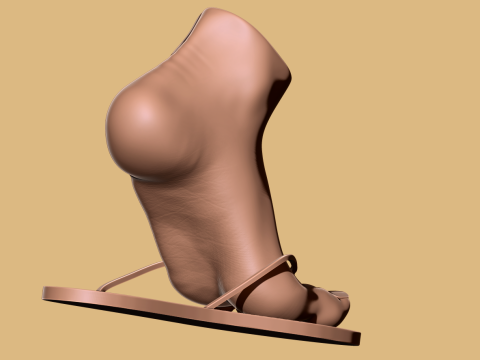 9 Scan-Based Feet Collection - 9 Realistic s - Printable Modèles 3D en vedette