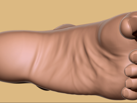 9 Scan-Based Feet Collection - 9 Realistic s - Printable Modèles 3D en vedette