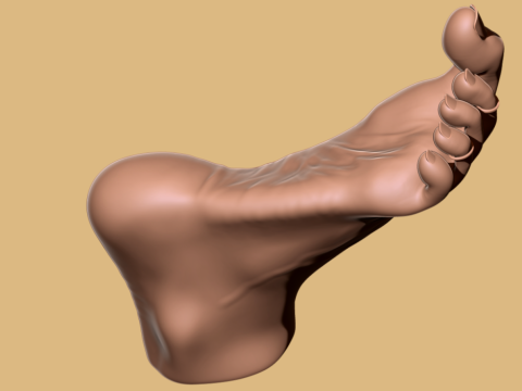 9 Scan-Based Feet Collection - 9 Realistic s - Printable Modèles 3D en vedette