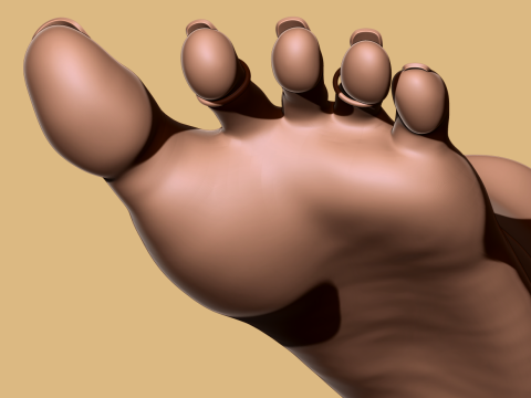 9 Scan-Based Feet Collection - 9 Realistic s - Printable Modèles 3D en vedette