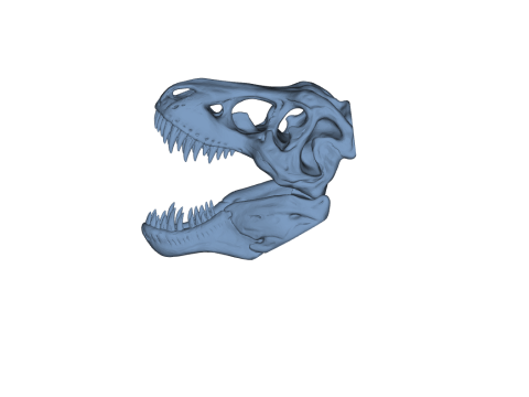 Tyrannosaurus Rex Skull 3D प्रिंट मॉडल
