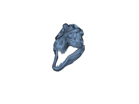 Tyrannosaurus Rex Skull 3D-printmodel