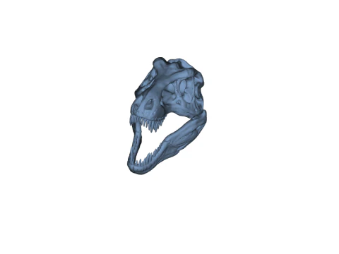 Tyrannosaurus Rex Skull 3D Print Model