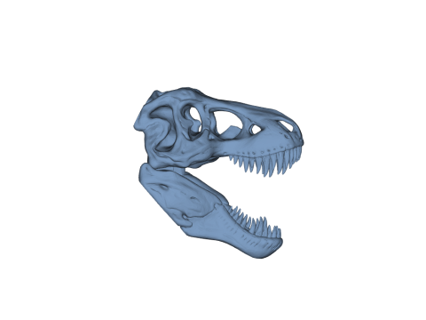 Tyrannosaurus Rex Skull 3D-printmodel