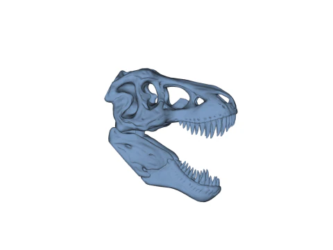 Tyrannosaurus Rex Skull 3D Print Model