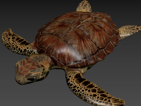 Pack Moana Collection 20 Characters 3D print model 3D Print Model