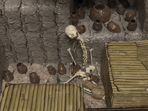 Royal Tomb of the Lord of Sipan 3D-Modell
