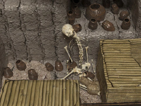 Royal Tomb of the Lord of Sipan 3D Model