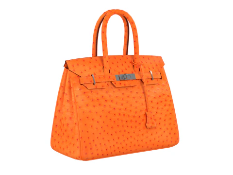 Orange Ostrich Leather Luxury Handbag 3D Model