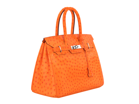 Orange Ostrich Leather Luxury Handbag 3D Model