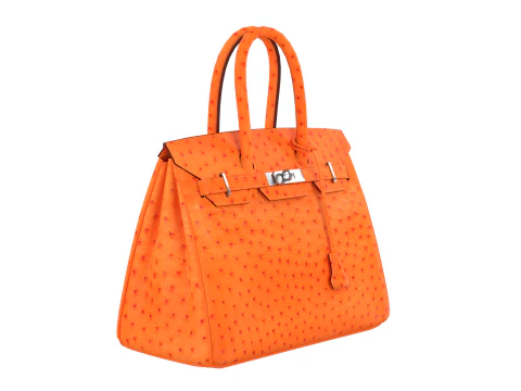 Bolso de lujo de piel de avestruz naranja Modelo 3D
