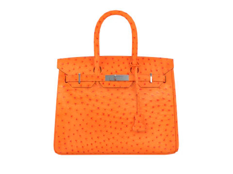 Bolso de lujo de piel de avestruz naranja Modelo 3D