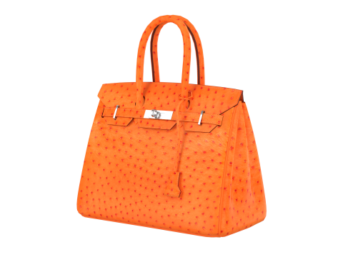 Orange Ostrich Leather Luxury Handbag 3D Model