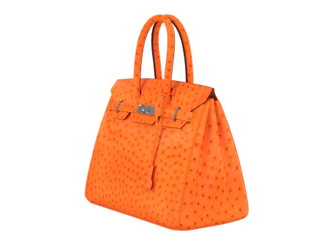 Bolso de lujo de piel de avestruz naranja Modelo 3D