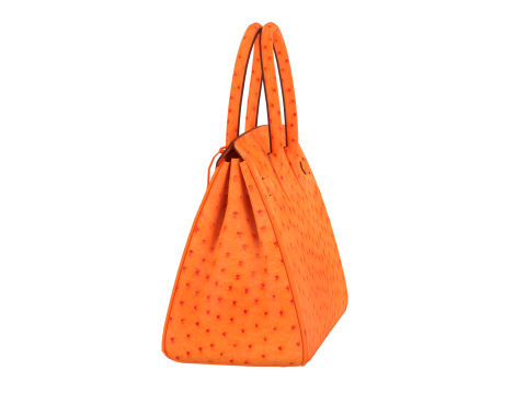 Orange Ostrich Leather Luxury Handbag 3D Model