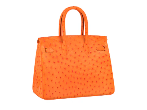 Bolso de lujo de piel de avestruz naranja Modelo 3D