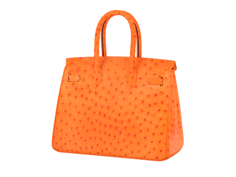 Orange Ostrich Leather Luxury Handbag 3D Model