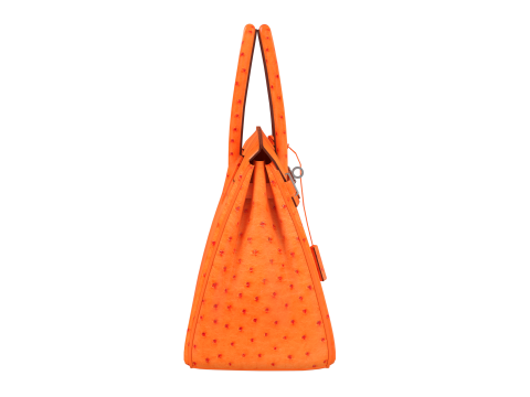 Orange Ostrich Leather Luxury Handbag 3D Model