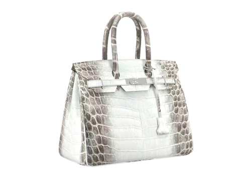 Albino Crocodile Tote Bag 30 Handbag 3D Model