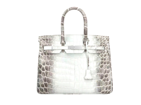 Albino Crocodile Tote Bag 30 Handbag Model 3D