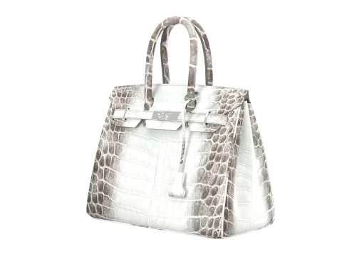 Albino Crocodile Tote Bag 30 Handbag 3D Model