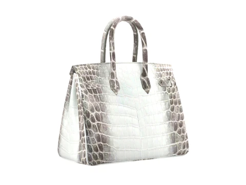 Albino Crocodile Tote Bag 30 Handbag 3D Model
