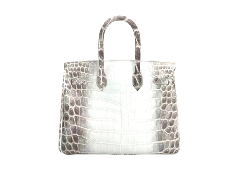 Albino Crocodile Tote Bag 30 Handbag Model 3D