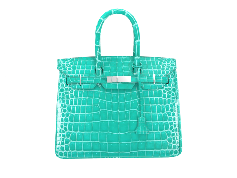 Jade Crocodile Tote Bag 30 Handbag 3D 模型