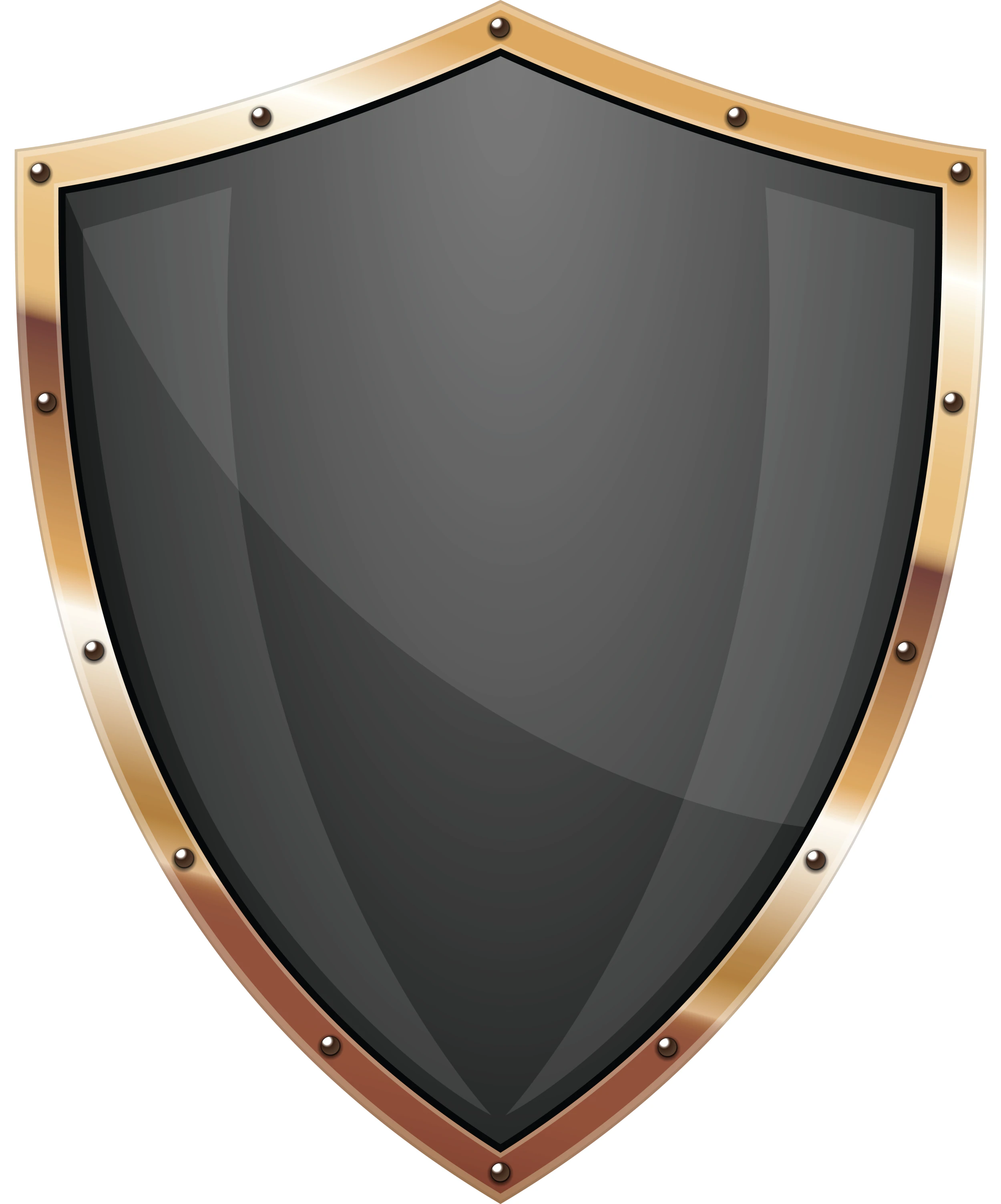 Shield Protection for Yourself 3D Model .c4d .max .obj .3ds .fbx .stl .blend 