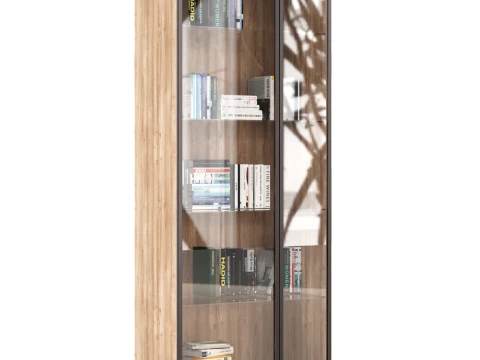 Glass Book Cabinet 3D Model
