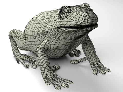 Frog v1 Blend-Obj-Fbx-Dae-Glb 3D Model