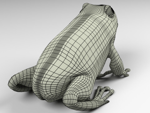 Frog v1 Blend-Obj-Fbx-Dae-Glb 3D Model