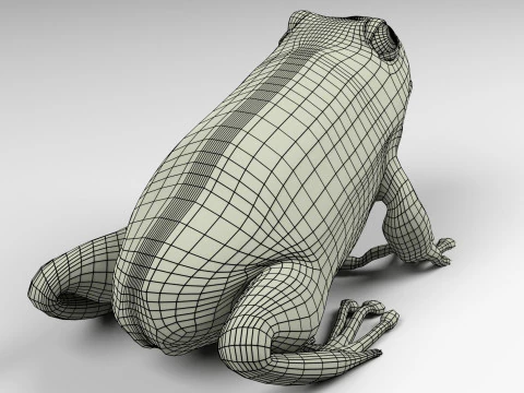 Frog v1 Blend-Obj-Fbx-Dae-Glb 3D Model