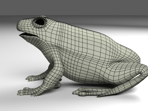 Frog v1 Blend-Obj-Fbx-Dae-Glb 3D Model