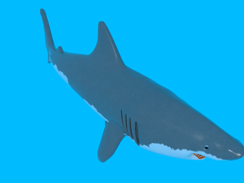 Shark v1 Blend-Obj-Fbx-Dae-Glb 3D Модель