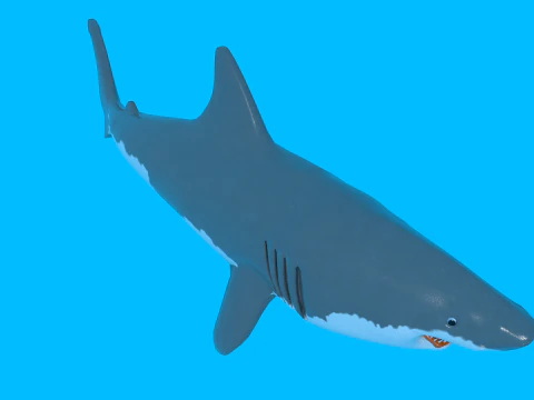 Shark v1 ブレンド-Obj-Fbx-Dae-Glb 3Dモデル