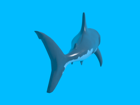Shark v1 Blend-Obj-Fbx-Dae-Glb 3D Model