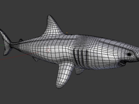 Shark v1 Blend-Obj-Fbx-Dae-Glb 3D Model