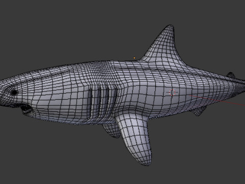 Shark v1 Blend-Obj-Fbx-Dae-Glb 3D Model