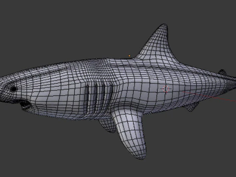 Shark v1 Blend-Obj-Fbx-Dae-Glb 3D Model