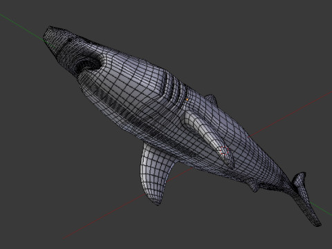 Shark v1 Blend-Obj-Fbx-Dae-Glb 3D Model
