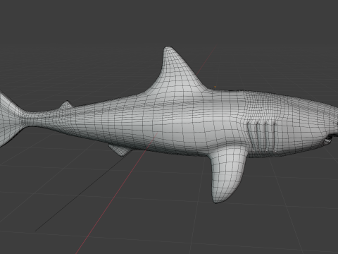 Shark v1 Blend-Obj-Fbx-Dae-Glb 3D Model
