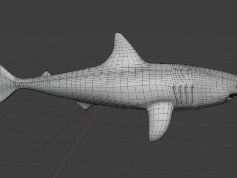 Shark v1 Blend-Obj-Fbx-Dae-Glb 3D Model